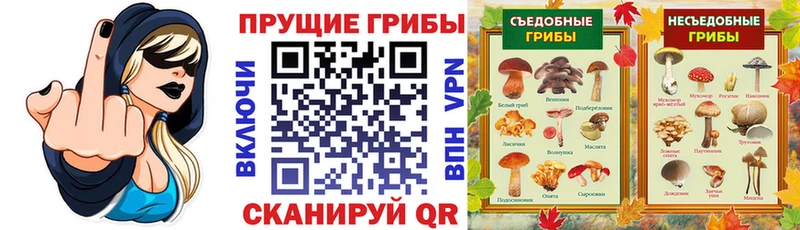 Псилоцибиновые грибы Cubensis Кропоткин